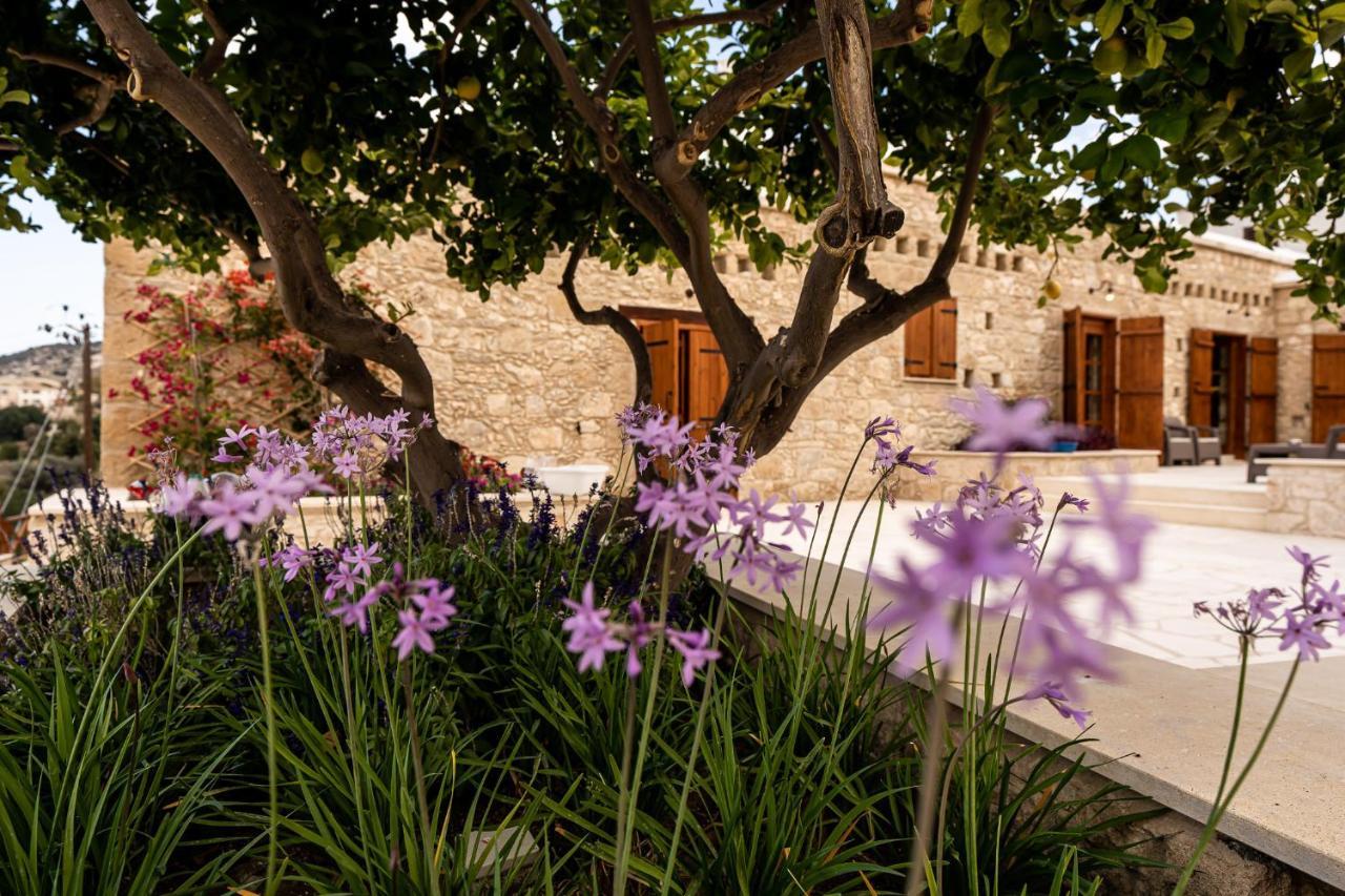 Harma Traditional Boutique Suites Пафос Экстерьер фото